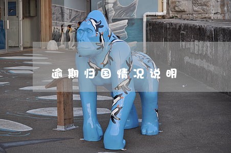 逾期归国情况说明