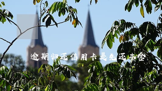 逾期归还信用卡是先还本金 逾期归还信用卡是先还本金