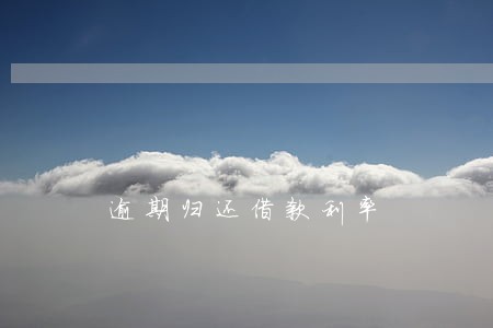 逾期归还借款利率 逾期归还借款利率