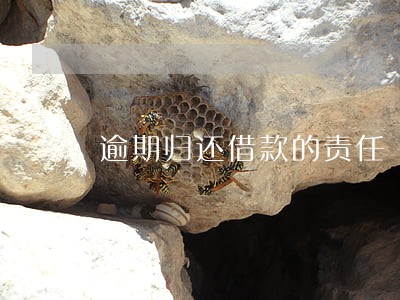 逾期归还借款的责任 逾期归还借款的责任