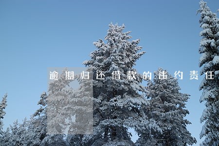 逾期归还借款的违约责任 逾期归还借款的违约责任