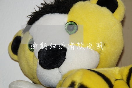 逾期归还借款说明 逾期归还借款说明