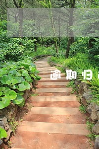 逾期归还借款违约金如何纳税 逾期归还借款违约金如何纳税