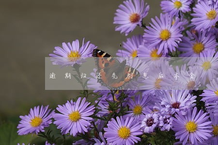 逾期归还先利息后本金