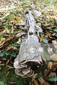 逾期归还利息的后果 逾期归还利息的后果