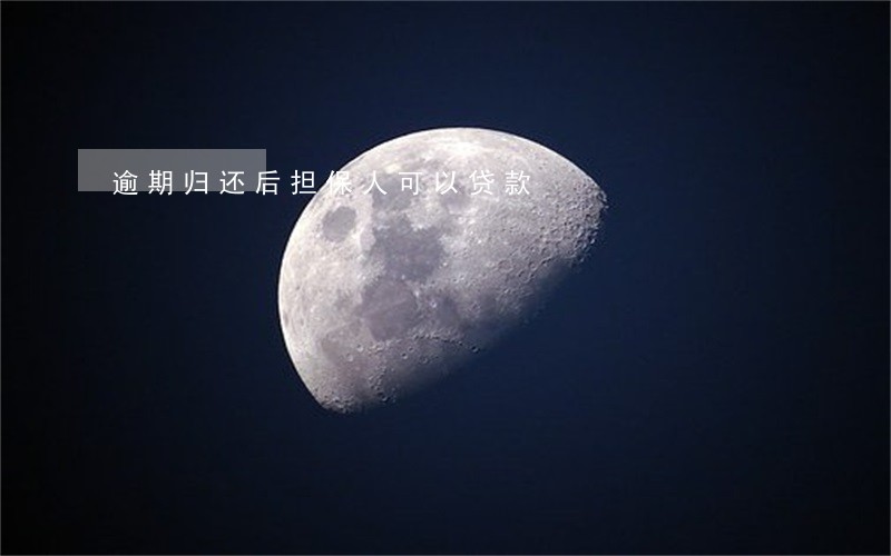 逾期归还后担保人可以贷款 逾期归还后担保人可以贷款