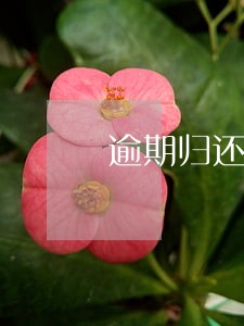 逾期归还后记录多久消除 逾期归还后记录多久消除