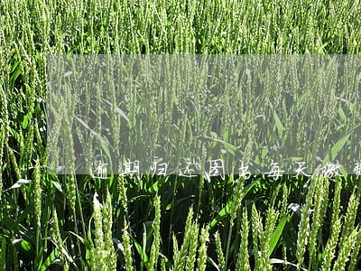 逾期归还图书每天缴费多少