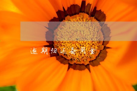 逾期归还备用金 逾期归还备用金