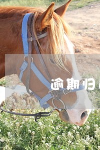 逾期归还本金后 逾期归还本金后
