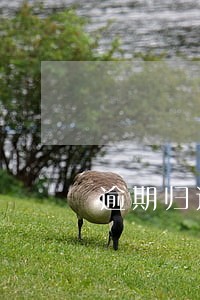 逾期归还租赁房屋的违约金 逾期归还租赁房屋的违约金