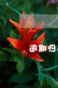 逾期归还融资融券负债违约金 逾期归还融资融券负债违约金