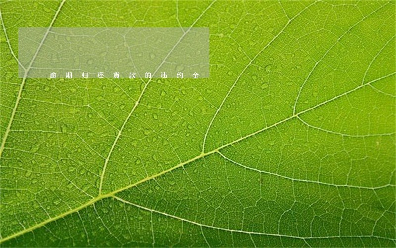 逾期归还貨款的违约金 逾期归还貨款的违约金
