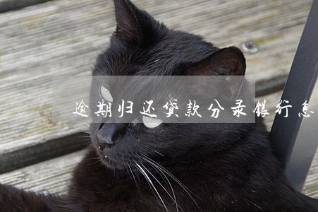 逾期归还贷款分录银行怎么做