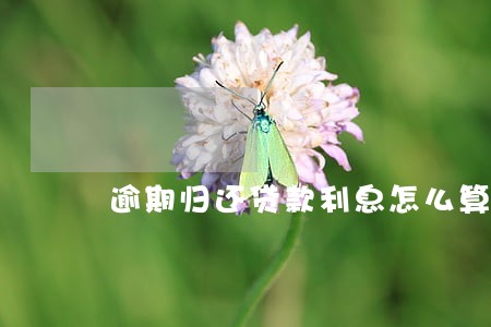 逾期归还贷款利息怎么算 逾期归还贷款利息怎么算