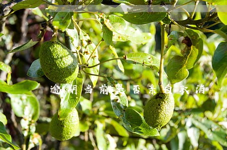 逾期当前是否亲自取消