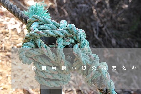 逾期当地小贷公司怎么办 逾期当地小贷公司怎么办