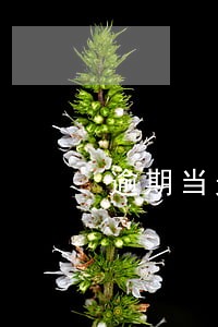 逾期当天就爆通讯录
