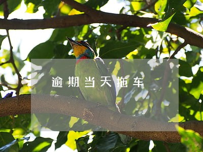 逾期当天拖车 逾期当天拖车