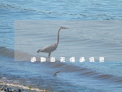 逾期当天爆通讯录 逾期当天爆通讯录