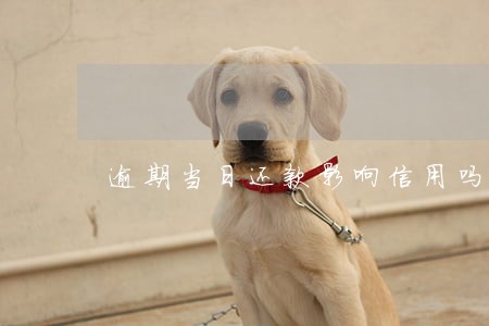 逾期当日还款影响信用吗