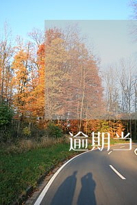 逾期当月显示嘛 逾期当月显示嘛