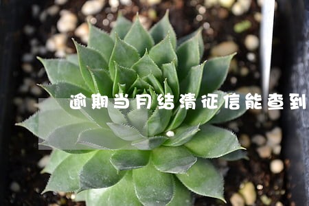 逾期当月结清征信能查到吗 逾期当月结清征信能查到吗
