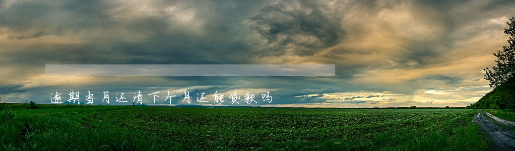 逾期当月还清下个月还能贷款吗