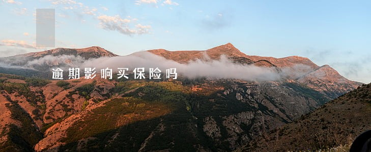 逾期影响买保险吗 逾期影响买保险吗