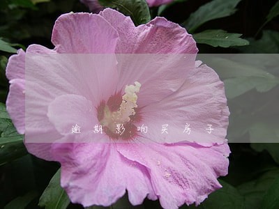 逾期影响买房子 逾期影响买房子