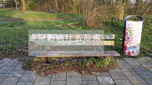 逾期影响什么后果 逾期影响什么后果