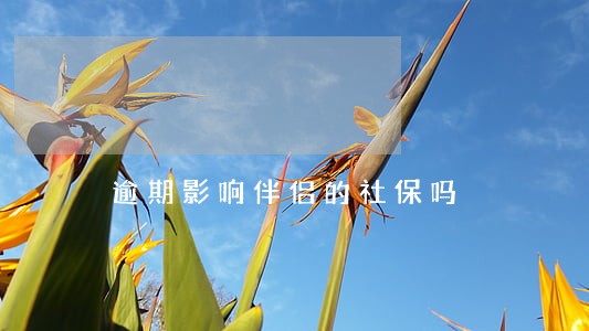 逾期影响伴侣的社保吗 逾期影响伴侣的社保吗