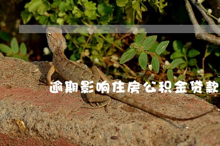 逾期影响住房公积金贷款吗 逾期影响住房公积金贷款吗