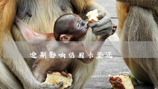 逾期影响信用卡垫还 逾期影响信用卡垫还