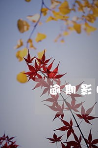 逾期影响信用卡降额