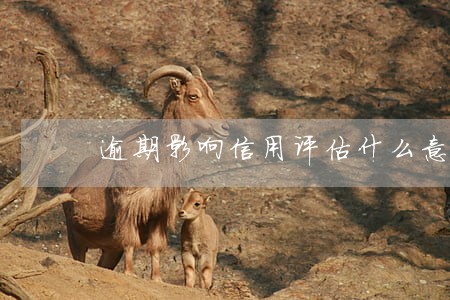 逾期影响信用评估什么意思 逾期影响信用评估什么意思
