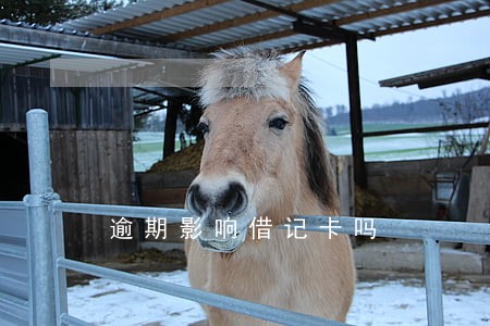 逾期影响借记卡吗 逾期影响借记卡吗