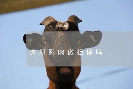 逾期影响做担保吗