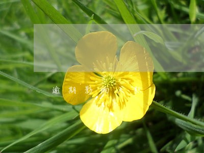 逾期影响入职 逾期影响入职