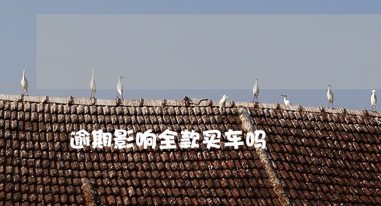 逾期影响全款买车吗 逾期影响全款买车吗