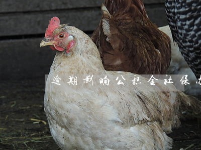 逾期影响公积金社保办理吗 逾期影响公积金社保办理吗