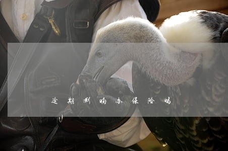 逾期影响办保险吗 逾期影响办保险吗