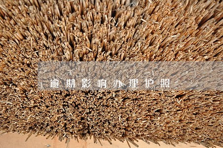 逾期影响办理护照 逾期影响办理护照