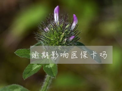 逾期影响医保卡吗 逾期影响医保卡吗