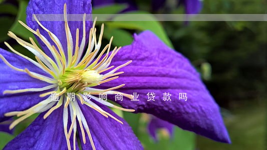 逾期影响商业贷款吗 逾期影响商业贷款吗