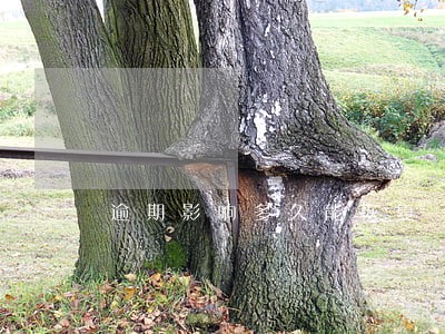 逾期影响多久能恢复