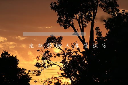 逾期影响夫妻贷款吗 逾期影响夫妻贷款吗