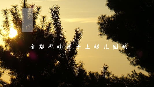 逾期影响孩子上幼儿园吗 逾期影响孩子上幼儿园吗