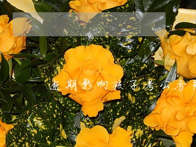 逾期影响孩子考公务员吗 逾期影响孩子考公务员吗