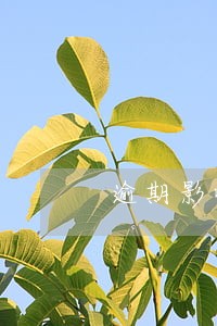 逾期影响家人信用卡